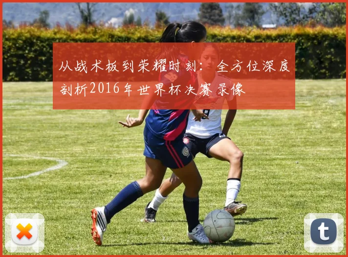 从战术板到荣耀时刻：全方位深度剖析2016年世界杯决赛录像